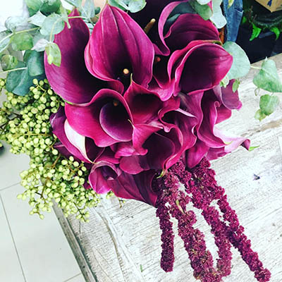 Buquê de callas rosas