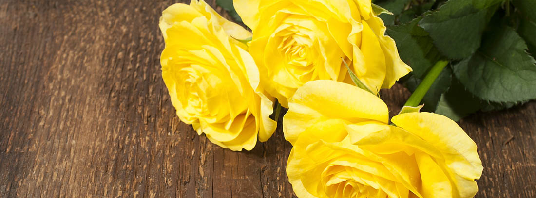 Buquê de rosas amarelas